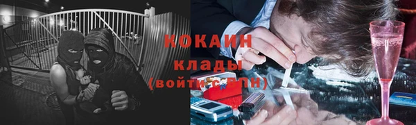 гидра Гусь-Хрустальный