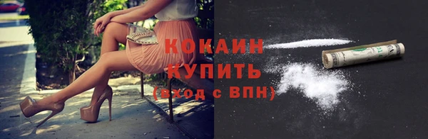 гидра Гусь-Хрустальный