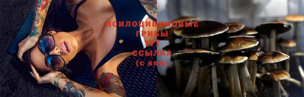а пвп мука Гусиноозёрск
