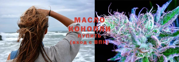 гидра Гусь-Хрустальный