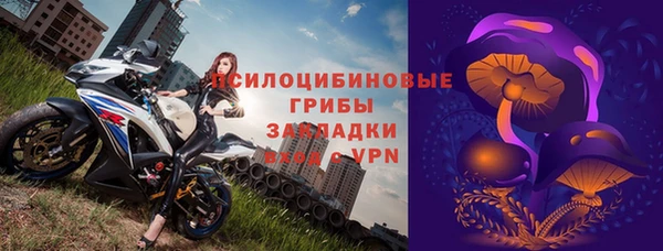 гидра Гусь-Хрустальный