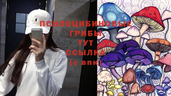 а пвп мука Гусиноозёрск