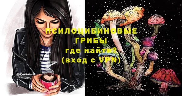 гидра Гусь-Хрустальный